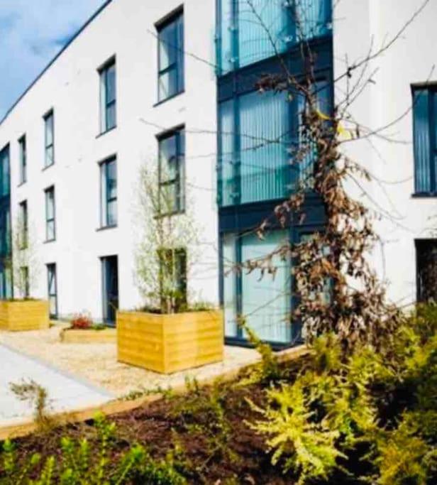Ormeau Road Stylish Double Bedroom Luxury Apartment Белфаст Екстер'єр фото